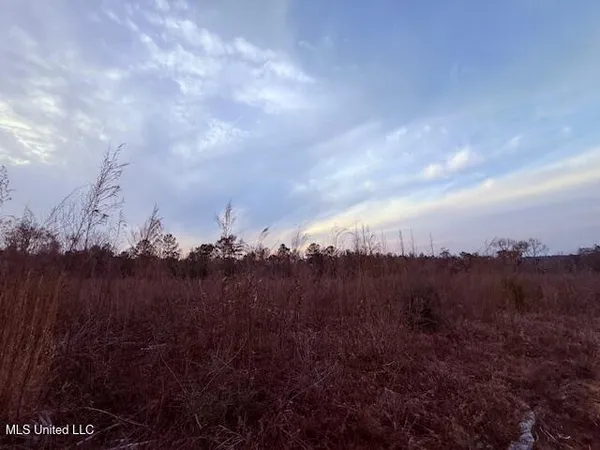 $79,000 | Morgantown Road, Foxworth, MS 39483