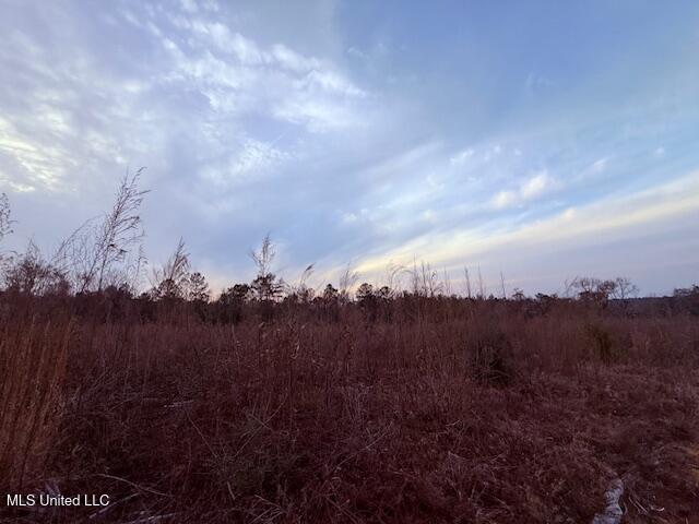 Morgantown Road Foxworth, MS 39483 - Photo 8 of 26 IMG_2175