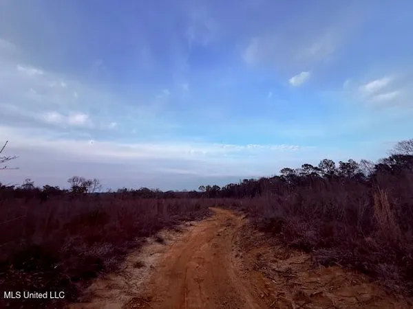 $79,000 | Morgantown Road, Foxworth, MS 39483