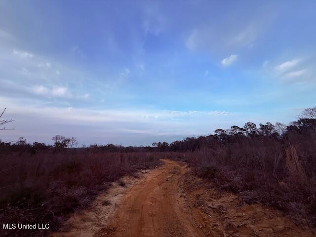 Morgantown Road Foxworth, MS 39483 - Photo 9 of 26 IMG_2176