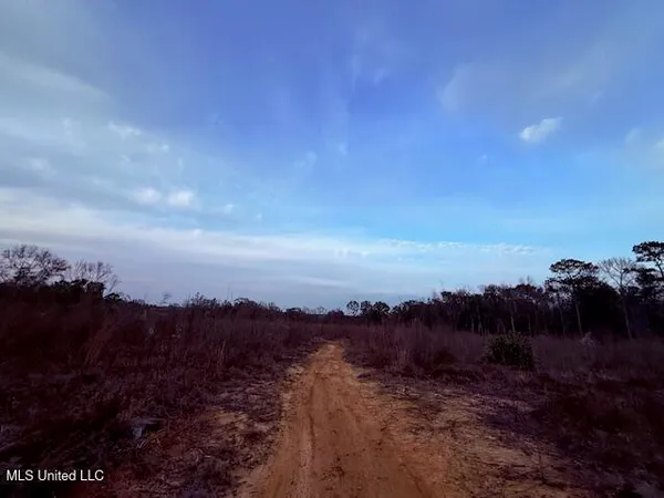 $79,000 | Morgantown Road, Foxworth, MS 39483