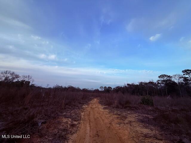 Morgantown Road Foxworth, MS 39483 - Photo 10 of 26 IMG_2177