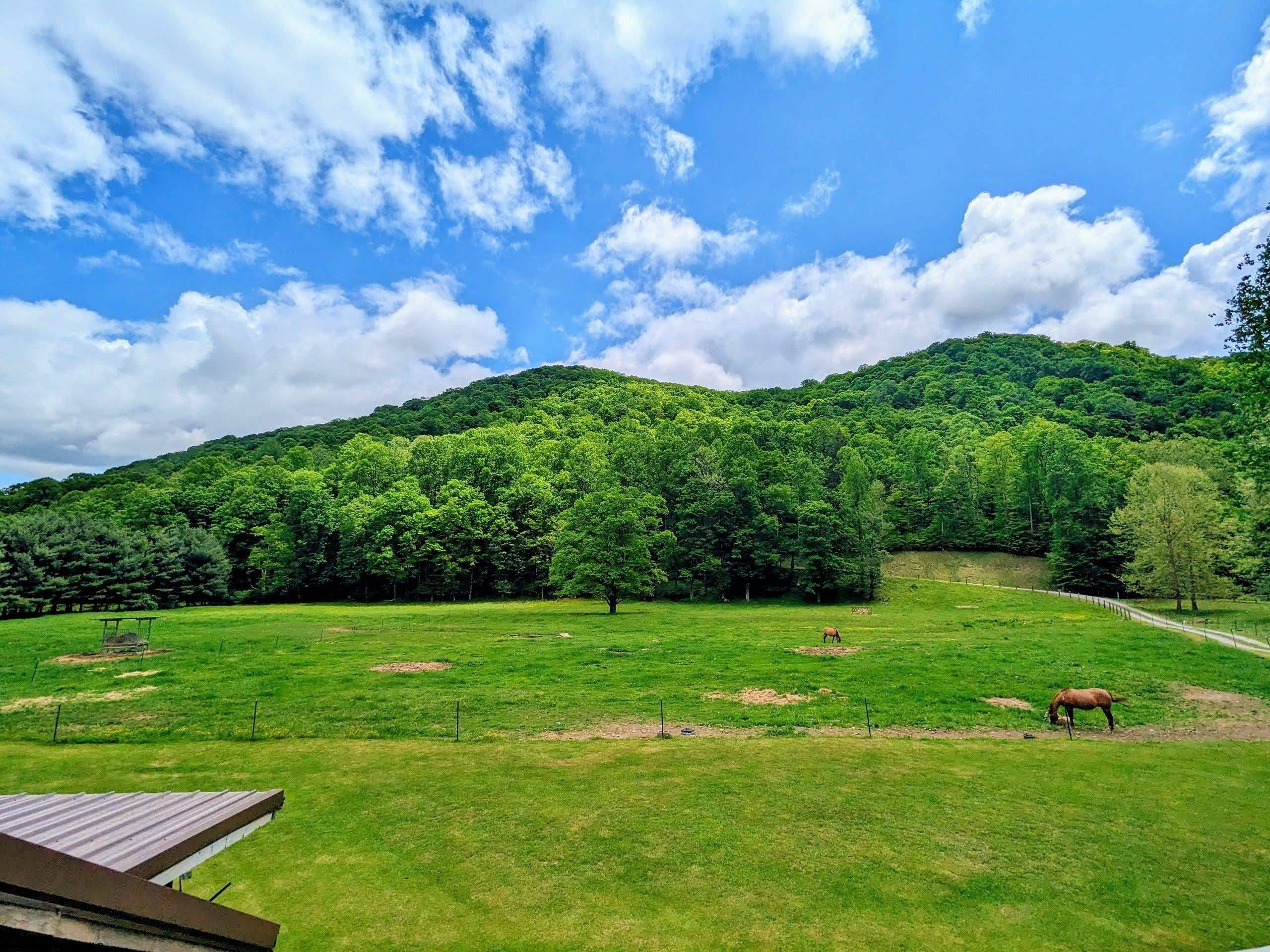 5622 Files Creek Road Beverly, WV 26253 - Photo 38 of 49 Gallery Image 38