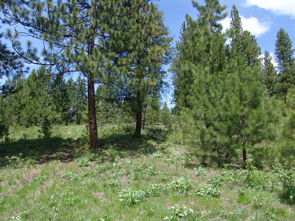 28 Rehn Loop, Unit 2 Cascade, ID 83611 - Photo 4 of 13 Sloped & Wooded Terrain