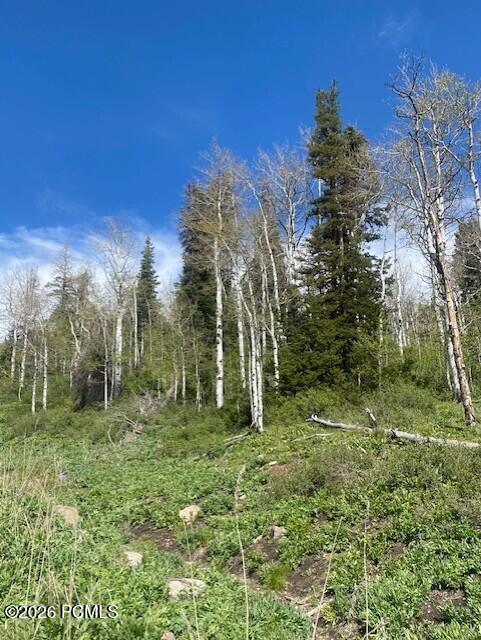 1798 West Alexander Canyon Road Coalville, UT 84017 - Photo 6 of 13