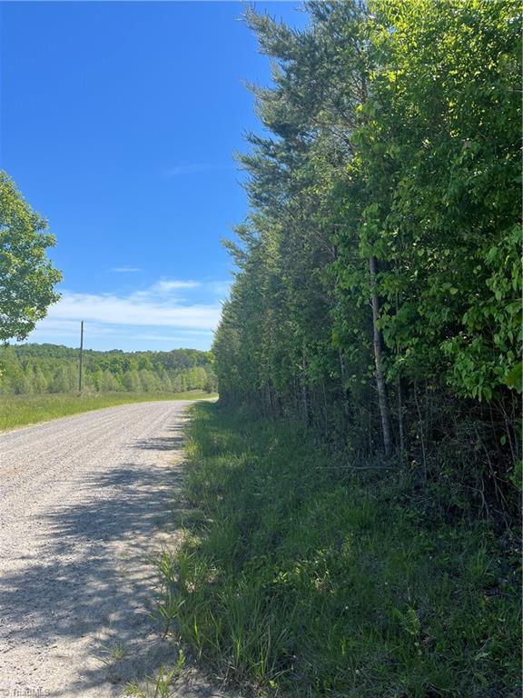 0 Palmer Road Germanton, NC 27019 - Photo 2 of 3