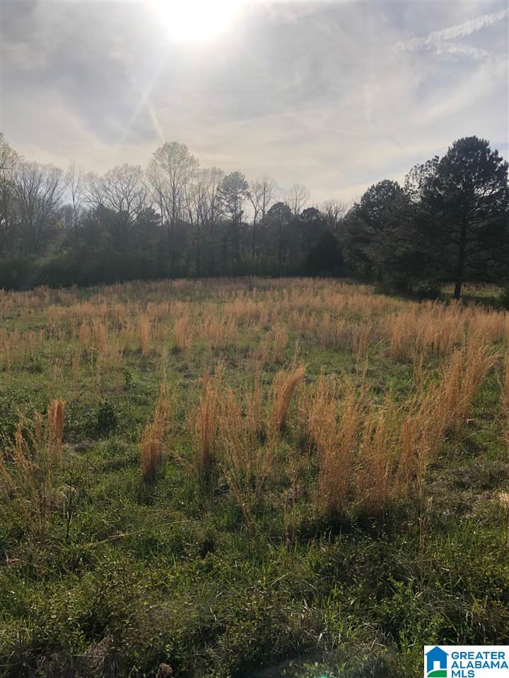 0 Deaver Walker Road, Unit 16 Cleveland, AL 35049 - Photo 7 of 11
