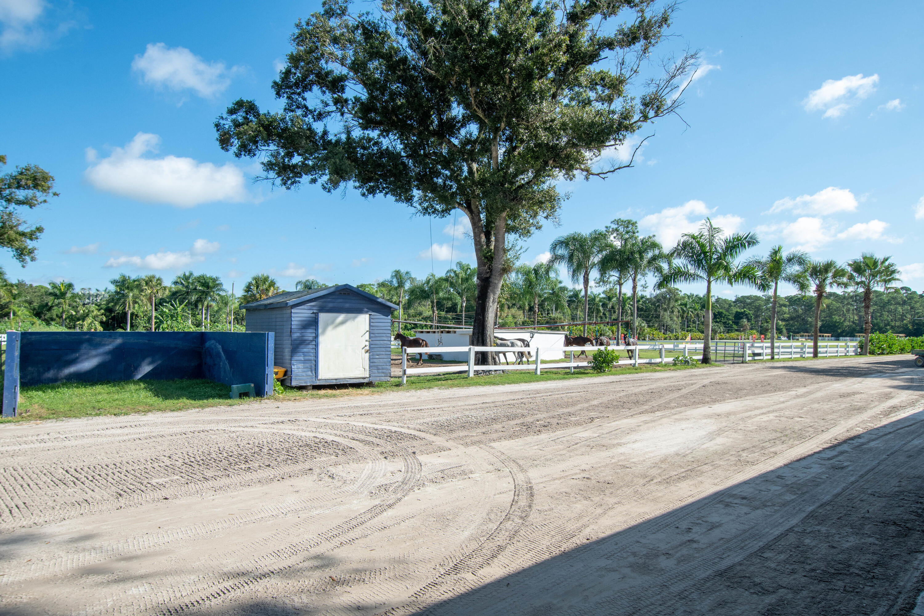 1044 D Road Loxahatchee Groves, FL 33470 - Photo 11 of 36 a view of a house with a yard and large trees
