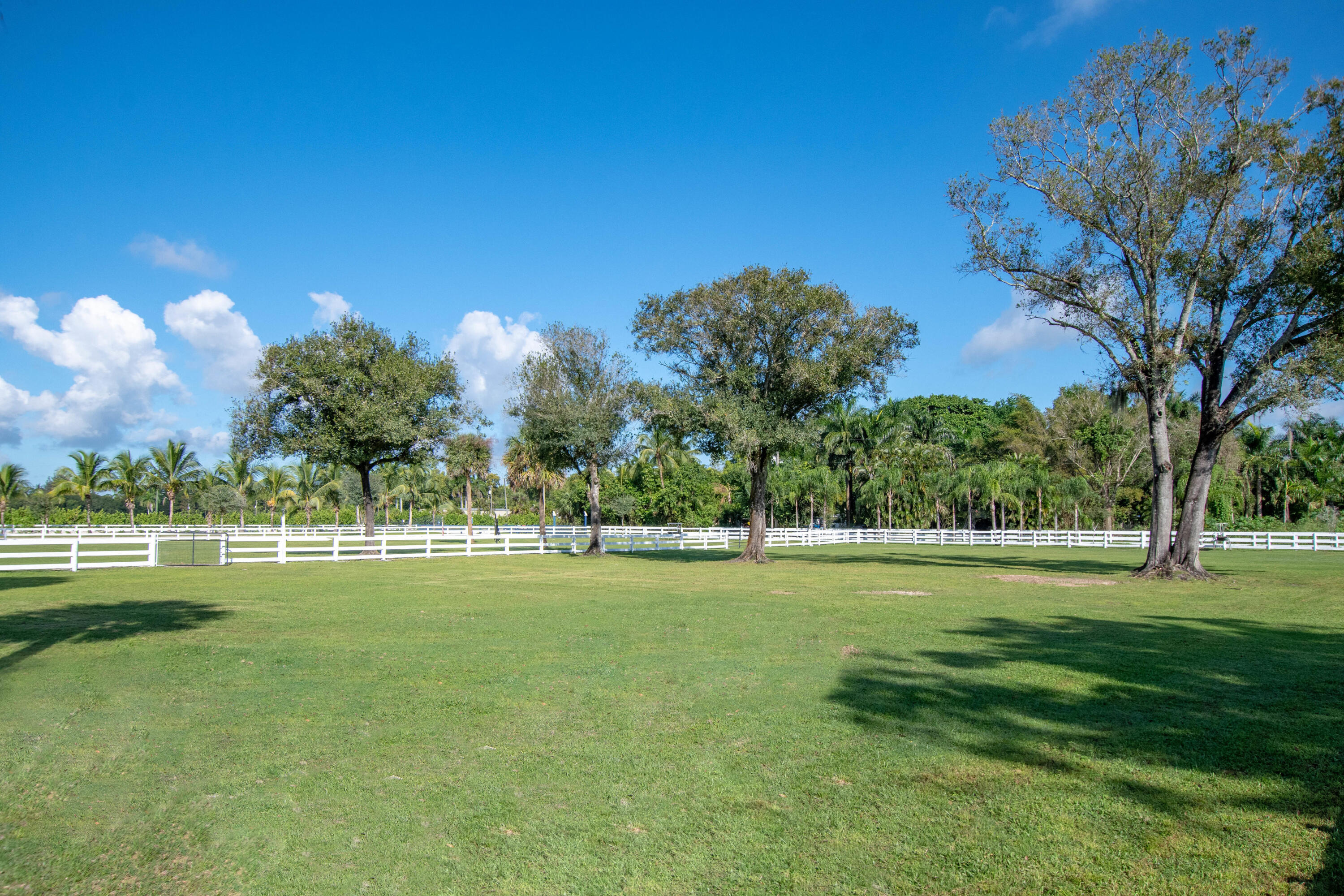 1044 D Road Loxahatchee Groves, FL 33470 - Photo 12 of 36 a view of a golf course with a lake