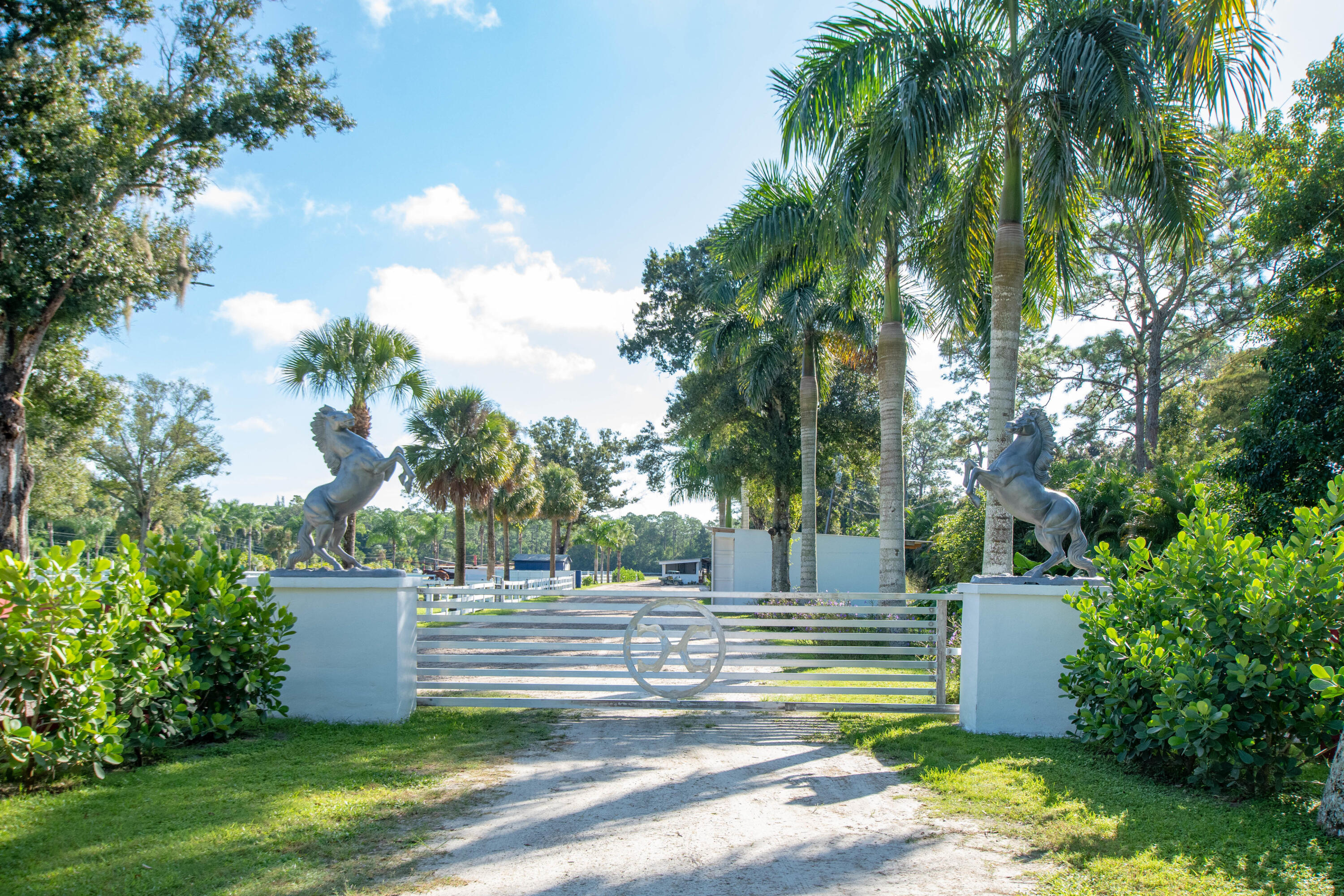 1044 D Road Loxahatchee Groves, FL 33470 - Photo 2 of 36 a view of a yard with plants and a large tree