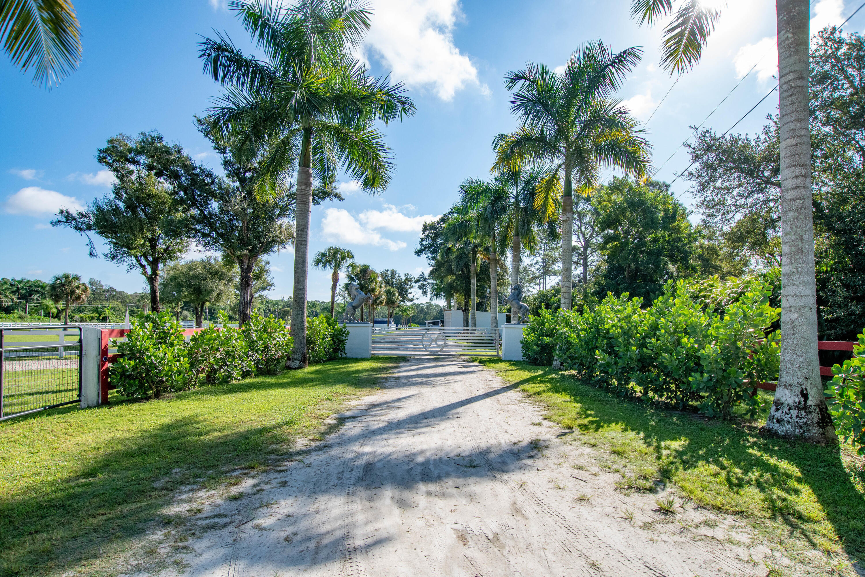 1044 D Road Loxahatchee Groves, FL 33470 - Photo 29 of 36 a view of a backyard with a garden