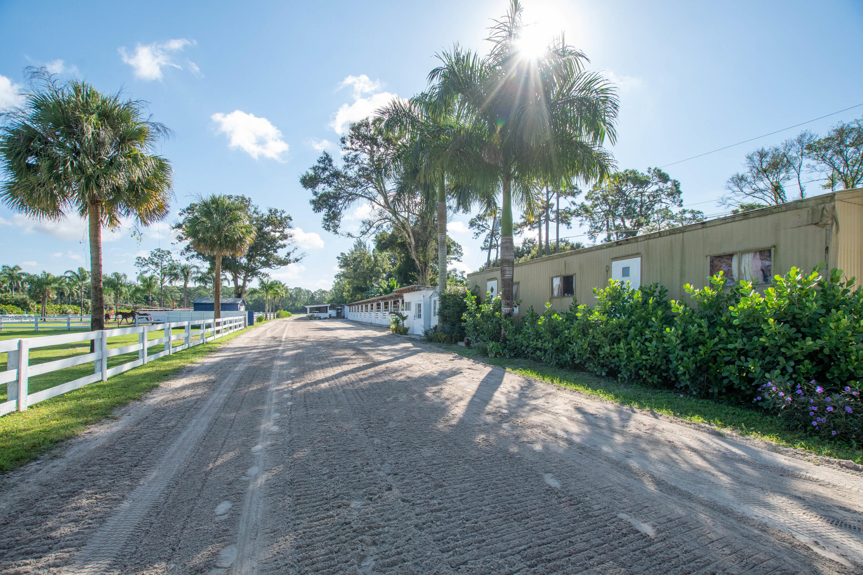1044 D Road Loxahatchee Groves, FL 33470 - Photo 30 of 36 a view of a yard and entertaining space