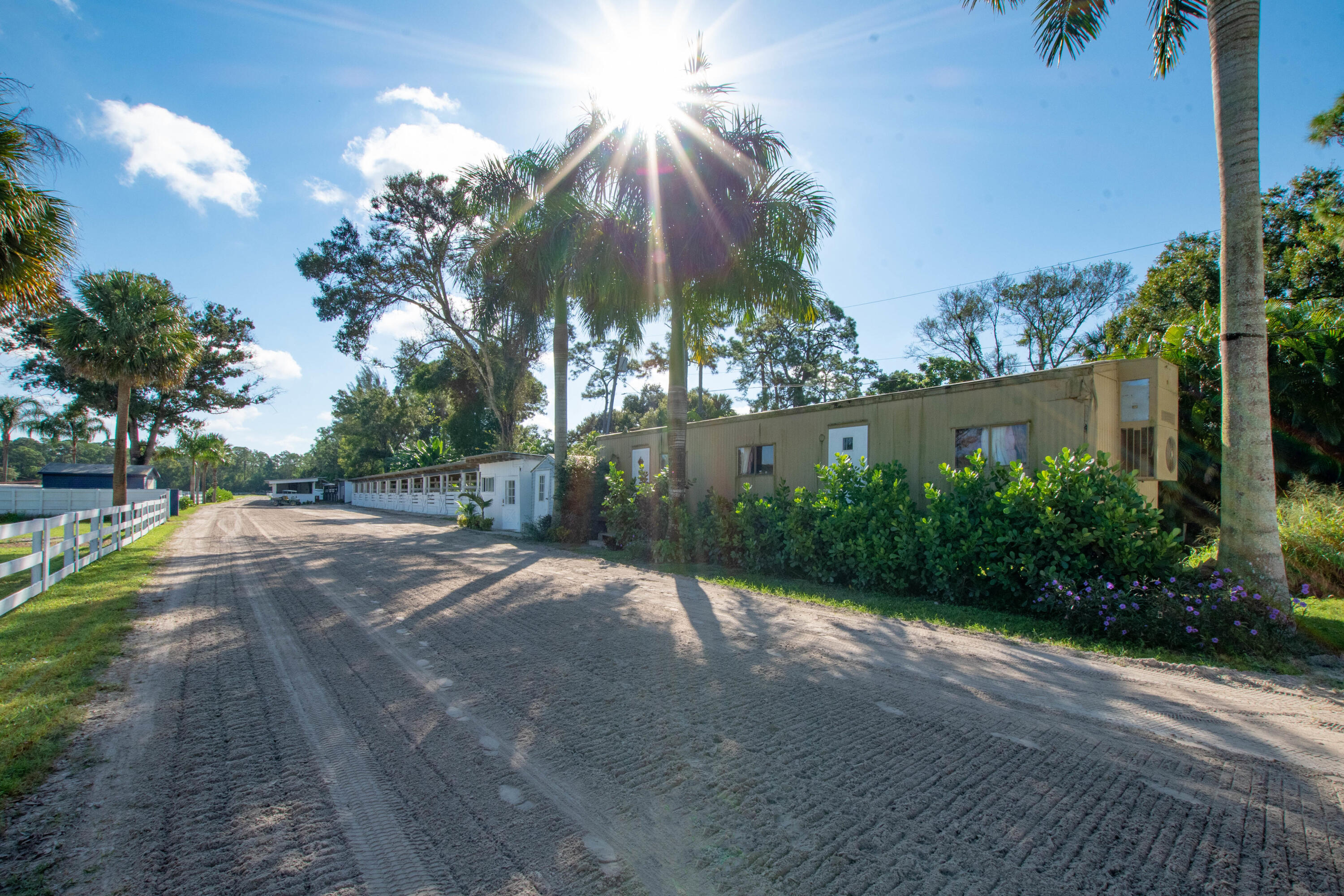 1044 D Road Loxahatchee Groves, FL 33470 - Photo 4 of 36 a view of a street with palm trees