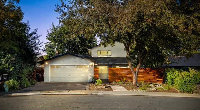 a view of a yard with plants and trees
