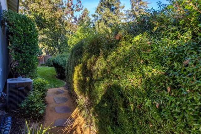 a view of a backyard with plants and patio