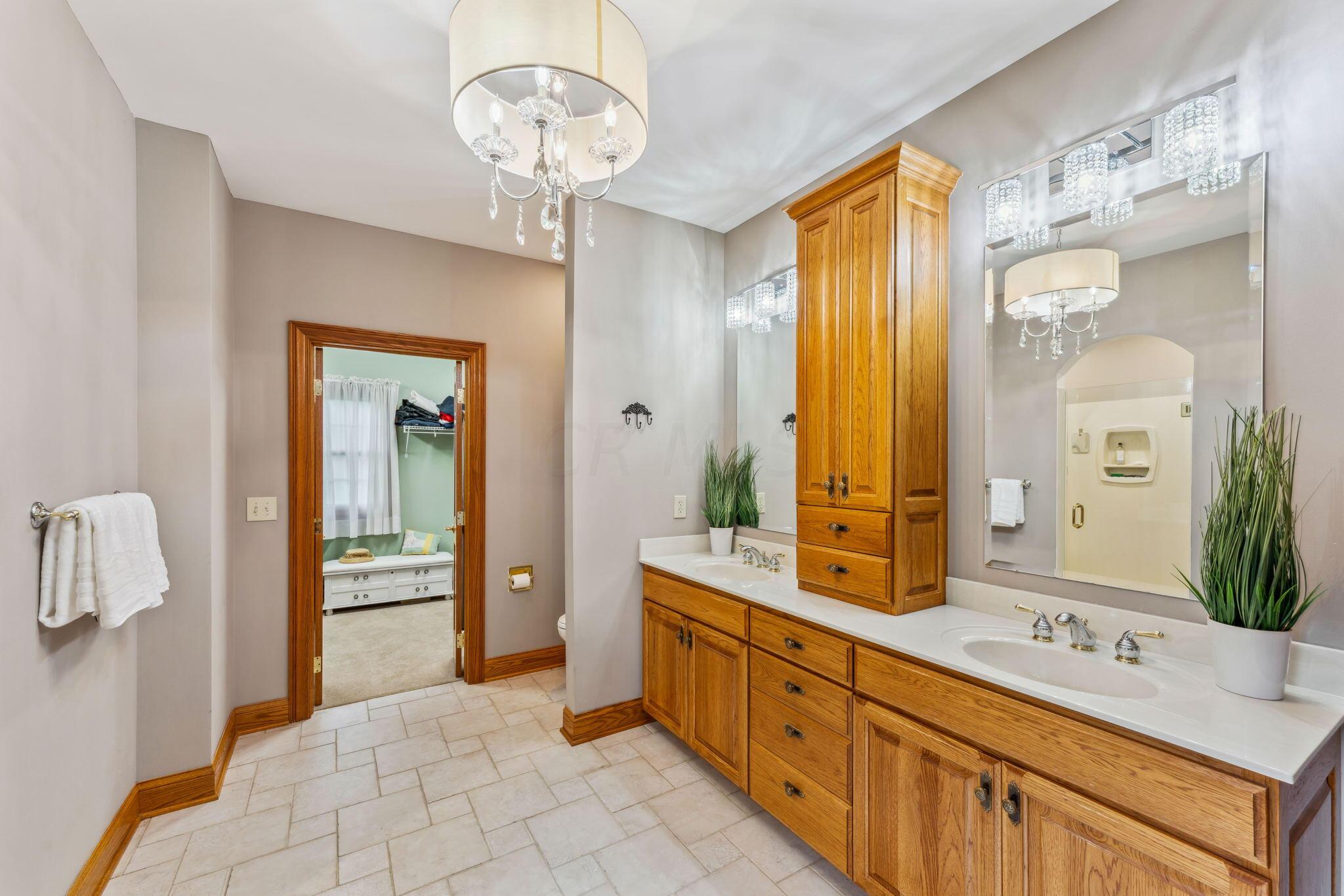 8242 Dustin Road Galena, OH 43021 - Photo 39 of 111 Master Deluxe Bath