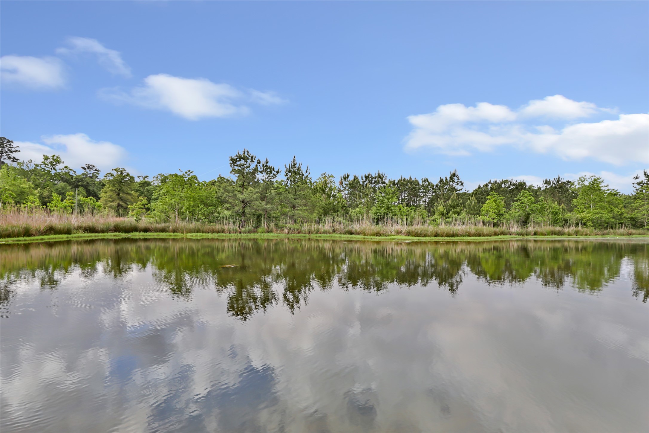 11542 Ward Road Splendora, TX 77372 - Photo 40 of 47