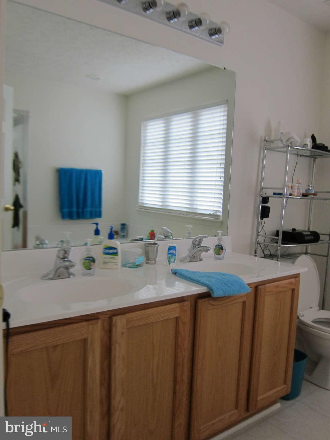 201 Spry Island Road Joppa, MD 21085 - Photo 15 of 26 Bath (Master)
