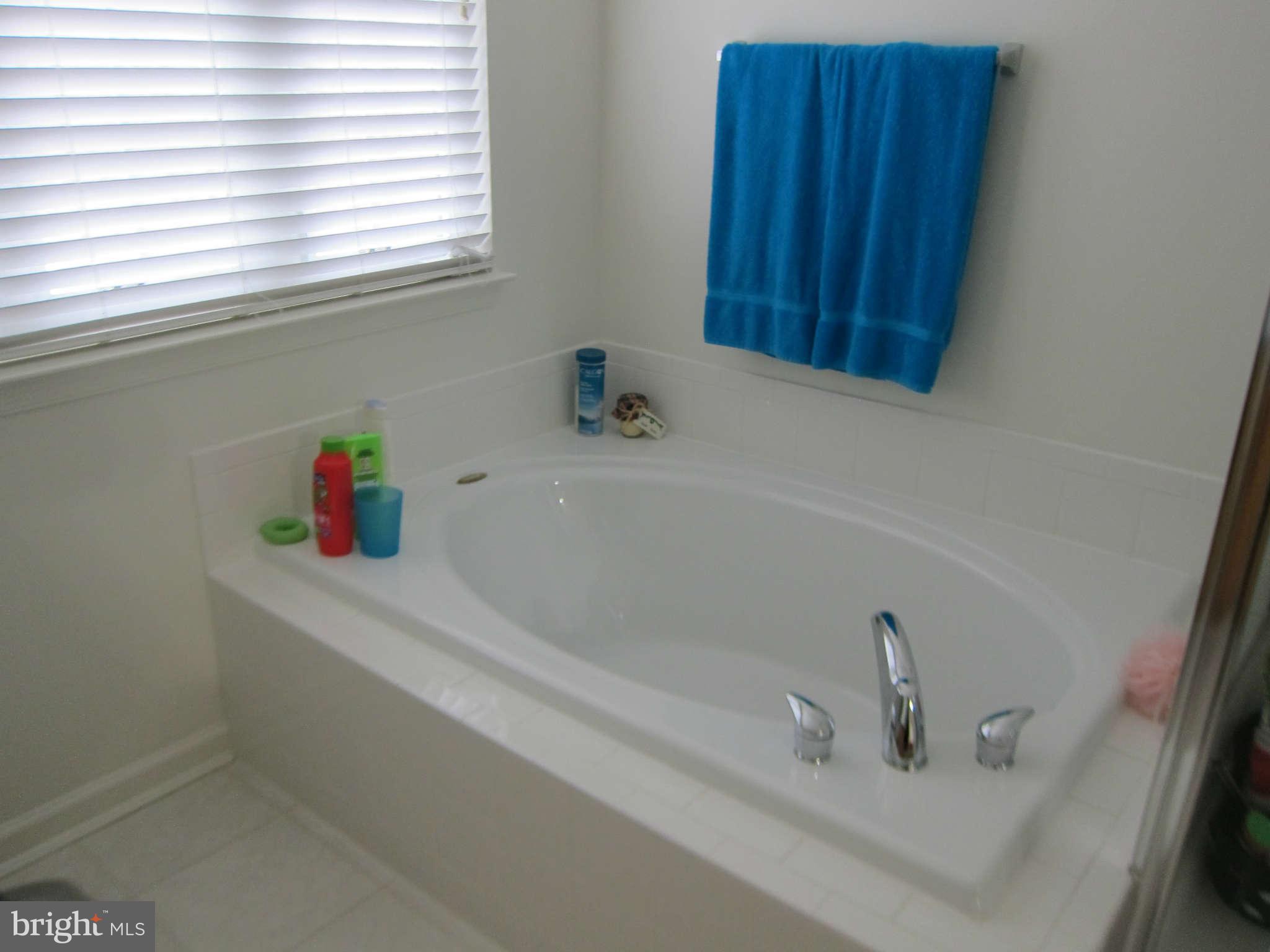 201 Spry Island Road Joppa, MD 21085 - Photo 16 of 26 Bath (Master)