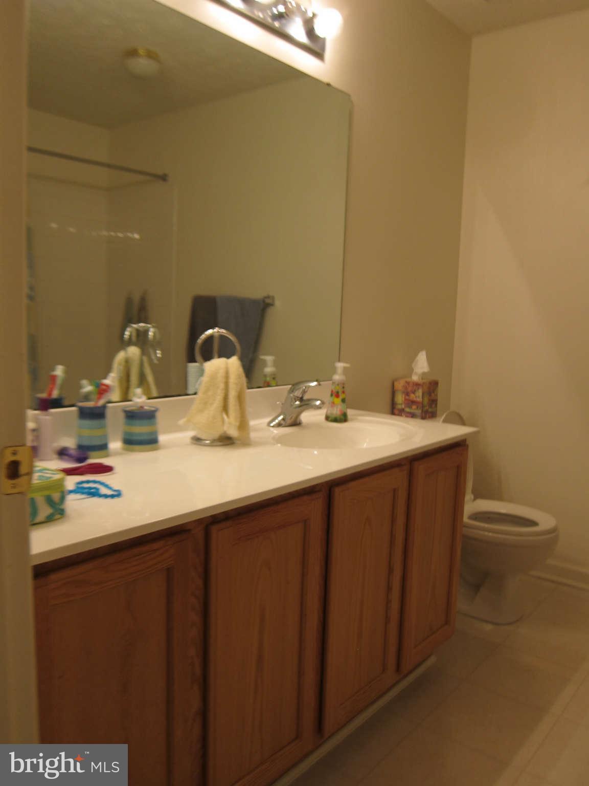 201 Spry Island Road Joppa, MD 21085 - Photo 19 of 26 Bath # 2