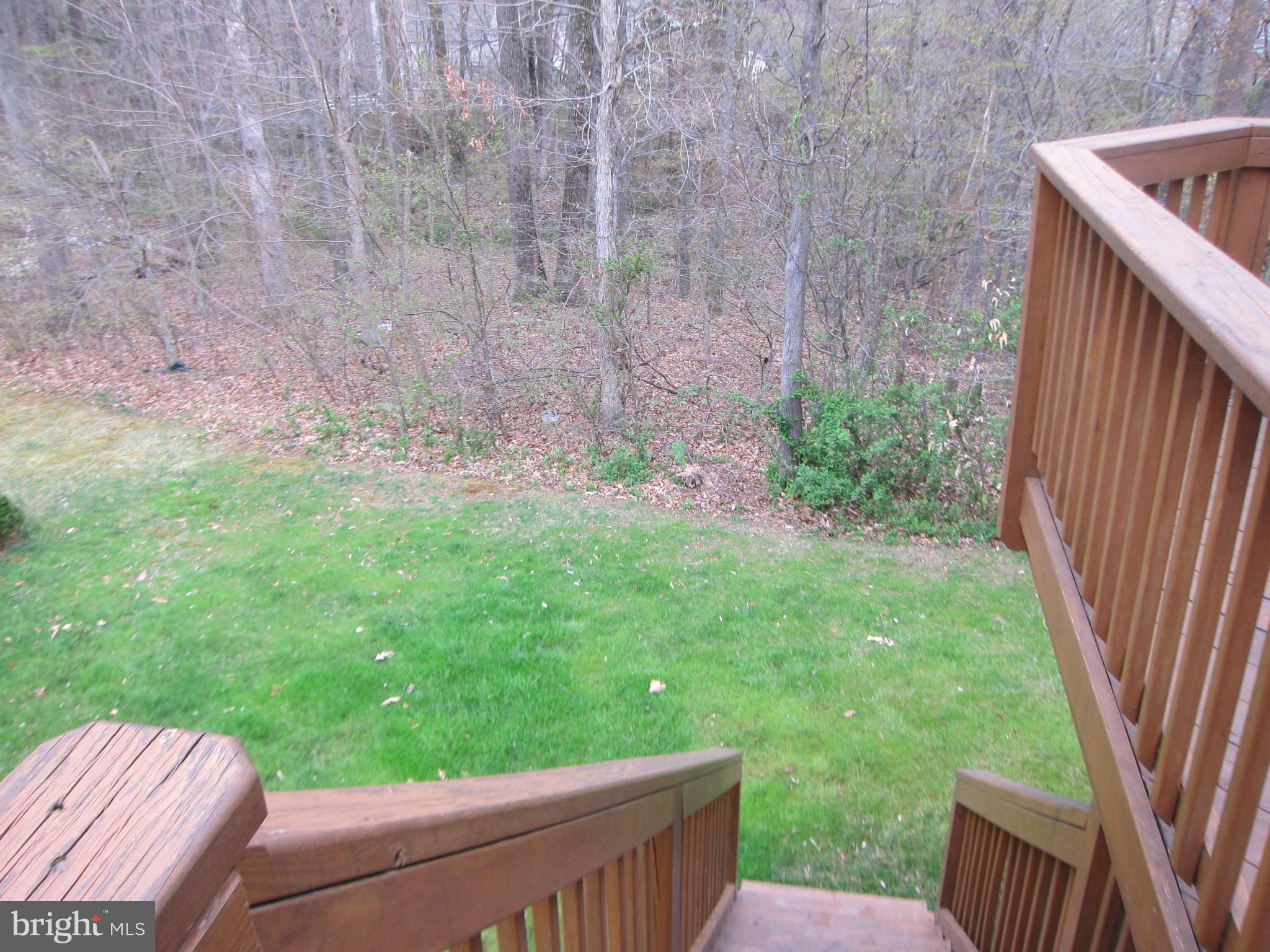 View from Deck