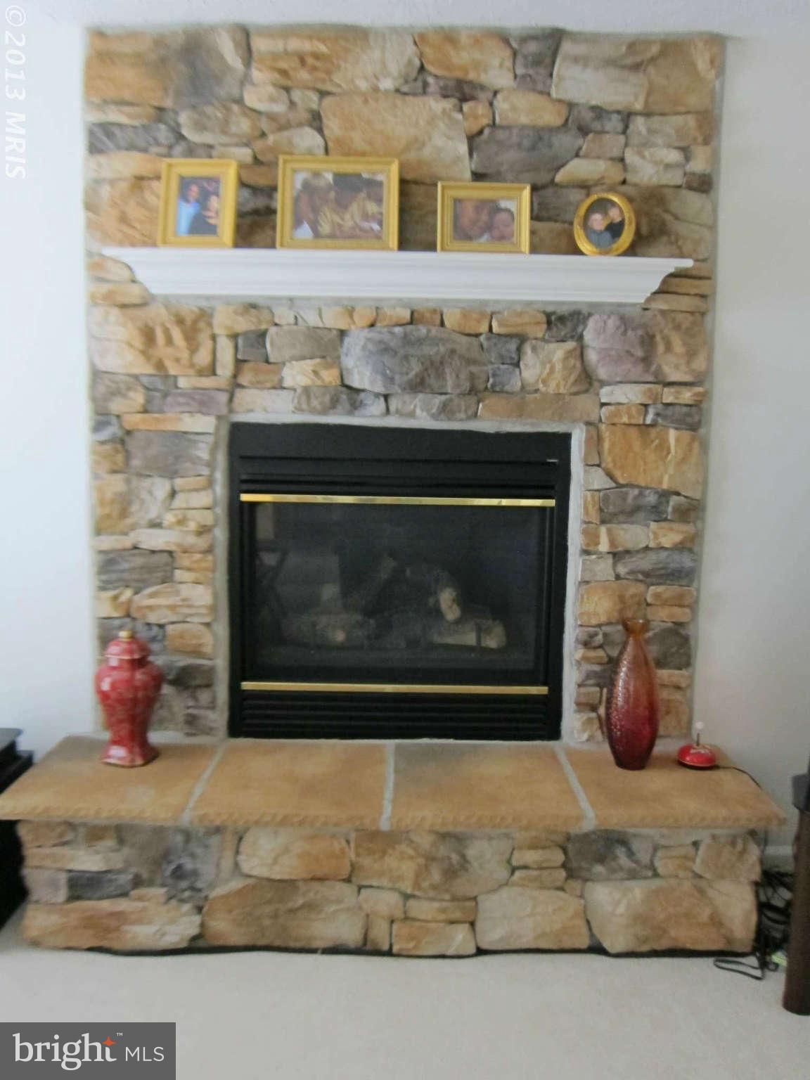 201 Spry Island Road Joppa, MD 21085 - Photo 10 of 26 Family Room Gas Fireplace