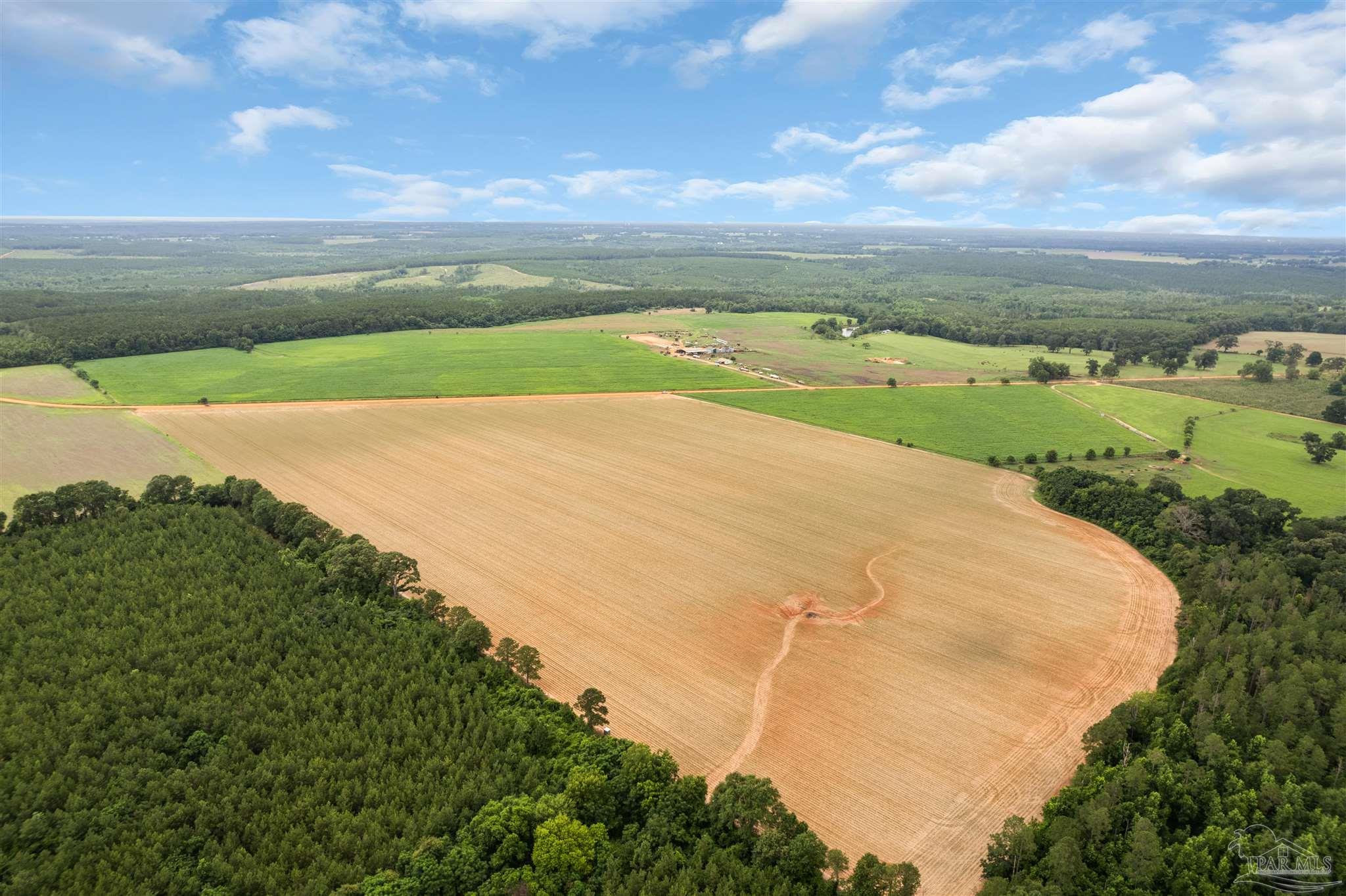0 Old Stage Road Repton, AL 36475 - Photo 12 of 27