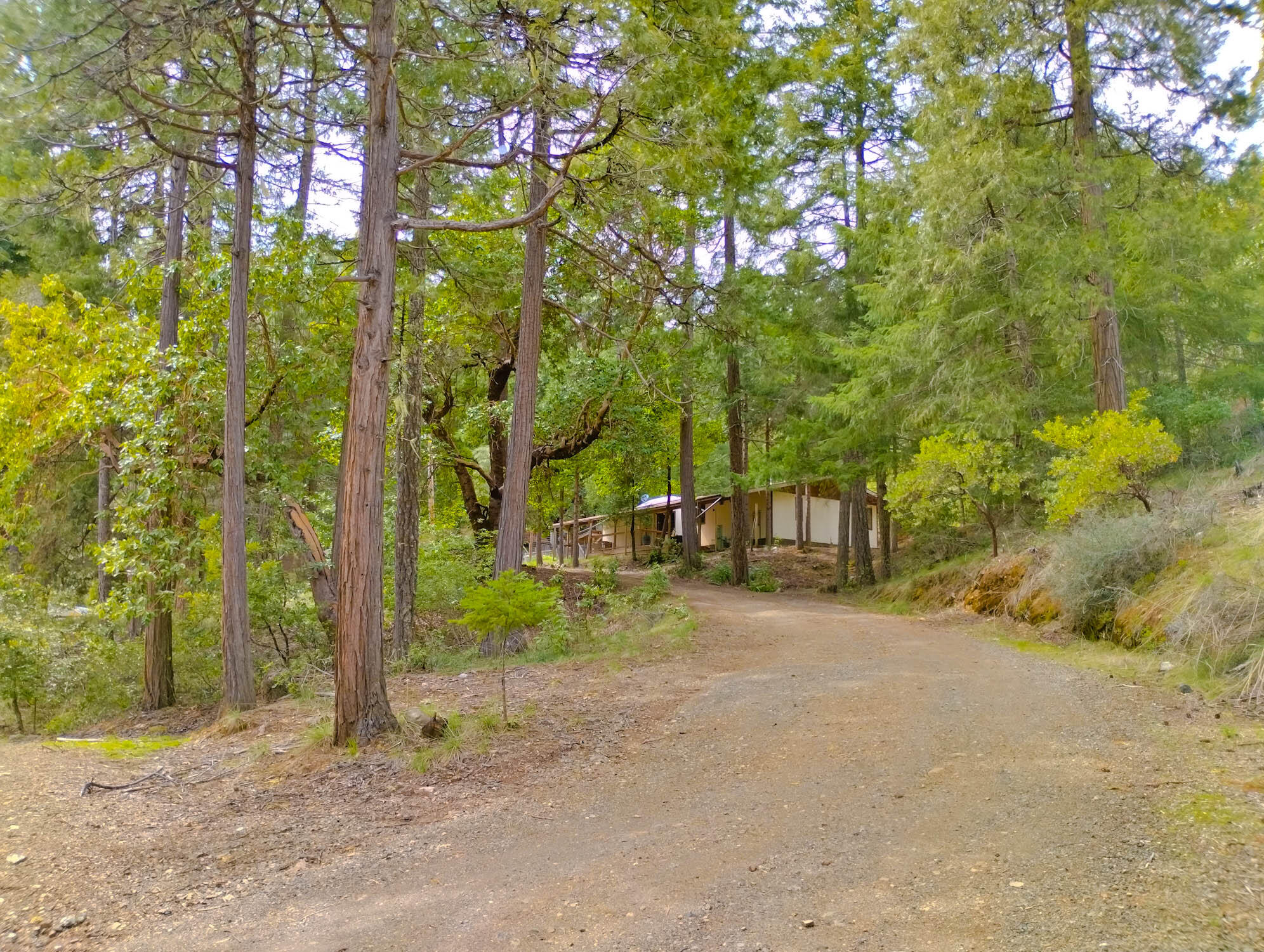 1008 M&w Ranch Road Willow Creek, CA 95573 - Photo 45 of 59 MW-49