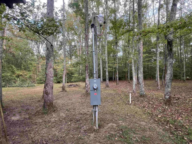 a flag is sitting in the middle of forest