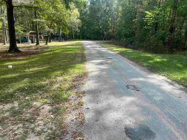a view of yard with trees