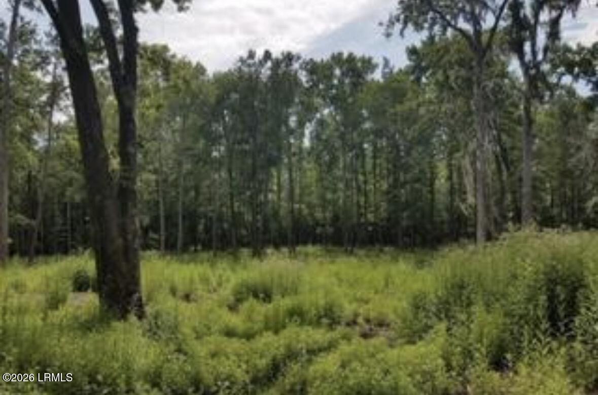 52 Arbor Victory Road Beaufort, SC 29907 - Photo 14 of 15 IMG_6863