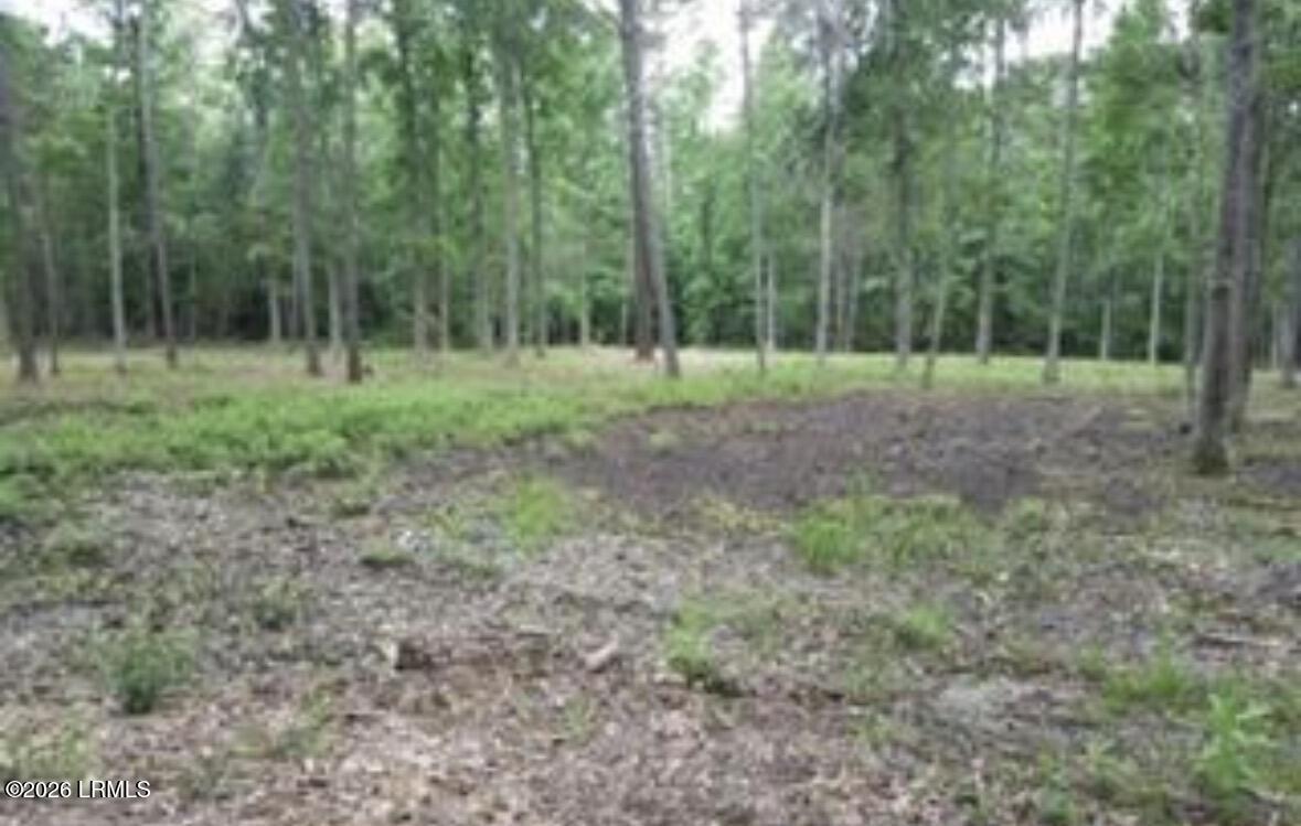 52 Arbor Victory Road Beaufort, SC 29907 - Photo 6 of 15 IMG_6855