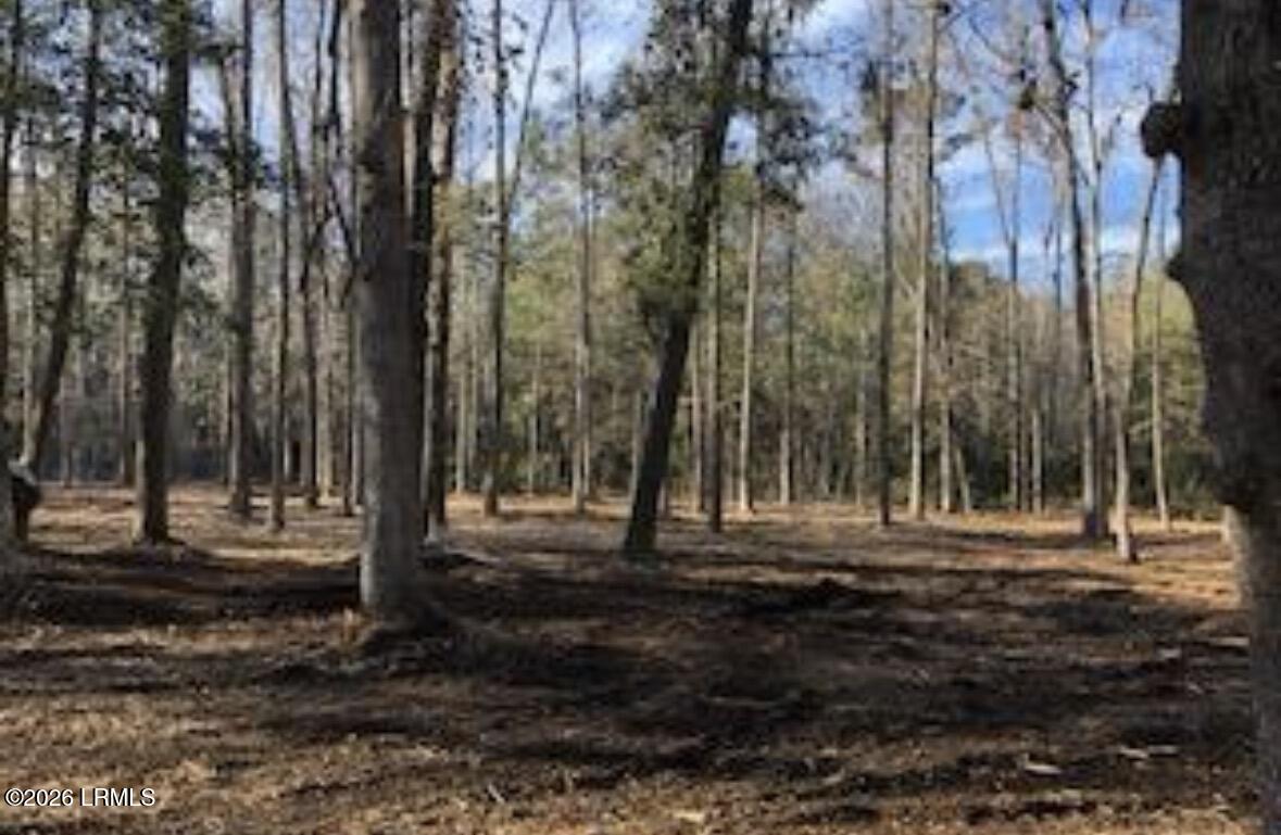 52 Arbor Victory Road Beaufort, SC 29907 - Photo 8 of 15 IMG_6857