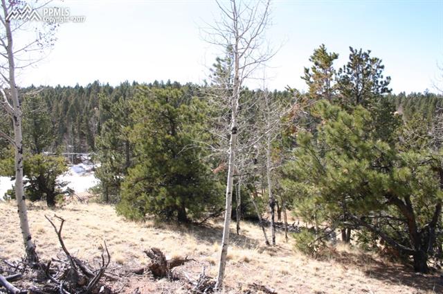 73 Arrowhead Road Florissant, CO 80816 - Photo 2 of 17 View from Back lot line