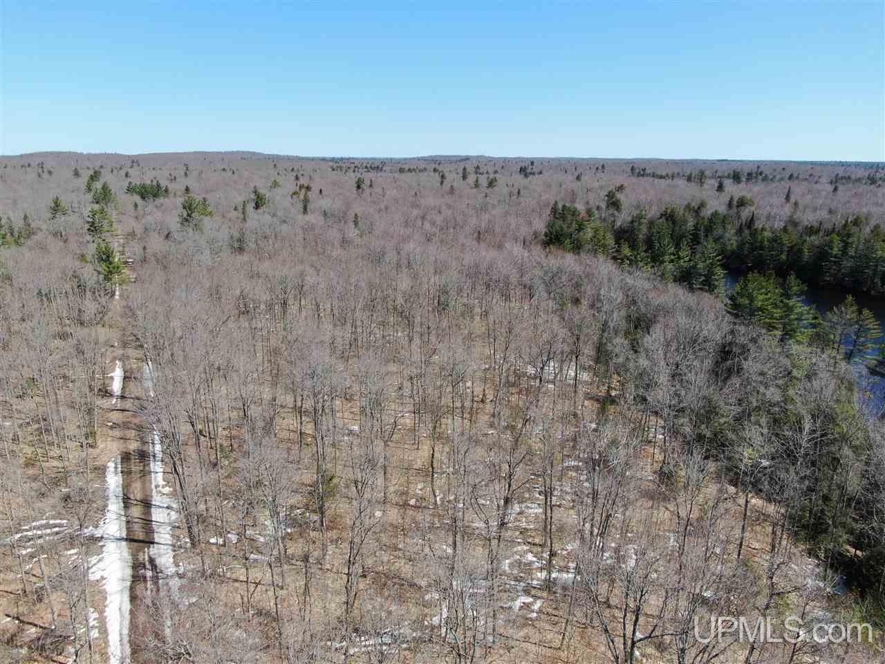 0 Rhody Cr, Unit CARTER LAKE RDP Seney, MI 49883 - Photo 4 of 36