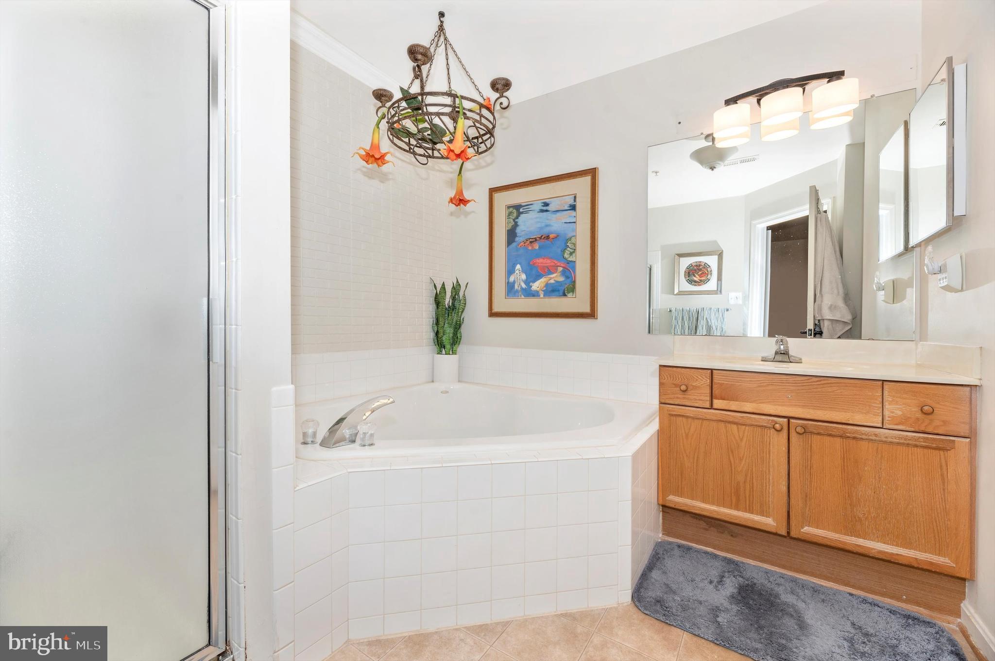 2490 Lakeside Drive Frederick, MD 21702 - Photo 15 of 31 Primary Bathroom