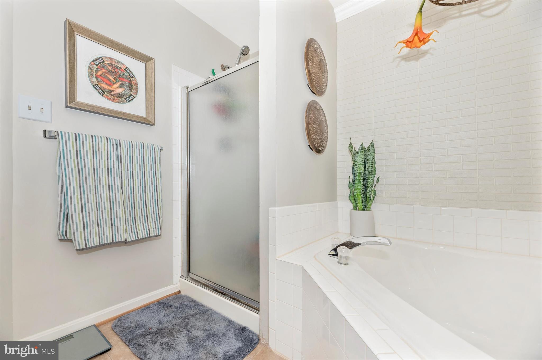 2490 Lakeside Drive Frederick, MD 21702 - Photo 16 of 31 Primary Bathroom