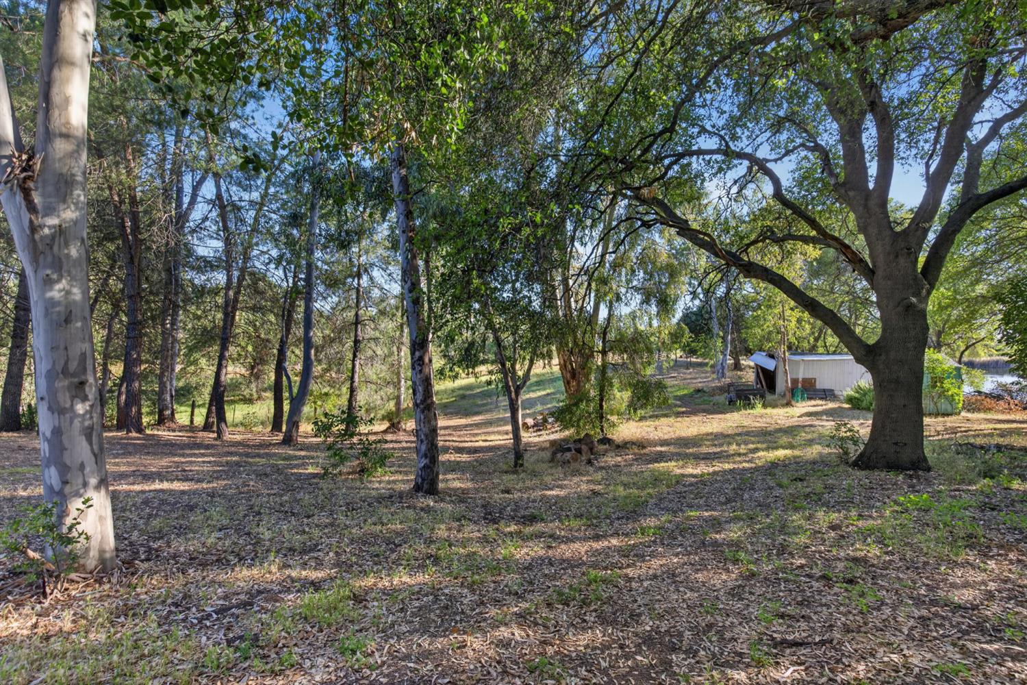 3395 Garden Bar Road Lincoln, CA 95648 - Photo 43 of 60