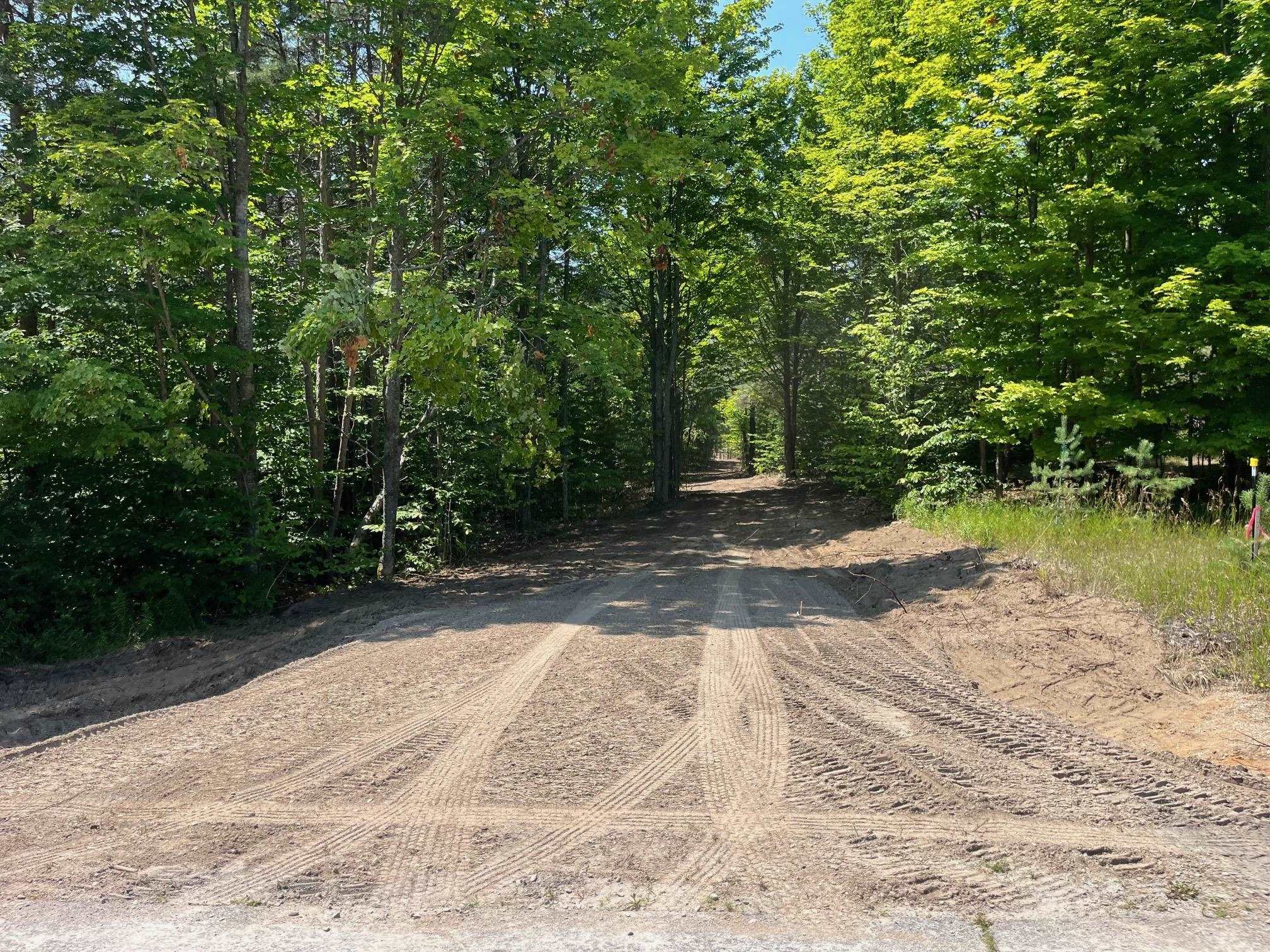 7 South Bright Road, Unit LOT: 7 Maple City, MI 49664 - Photo 4 of 14