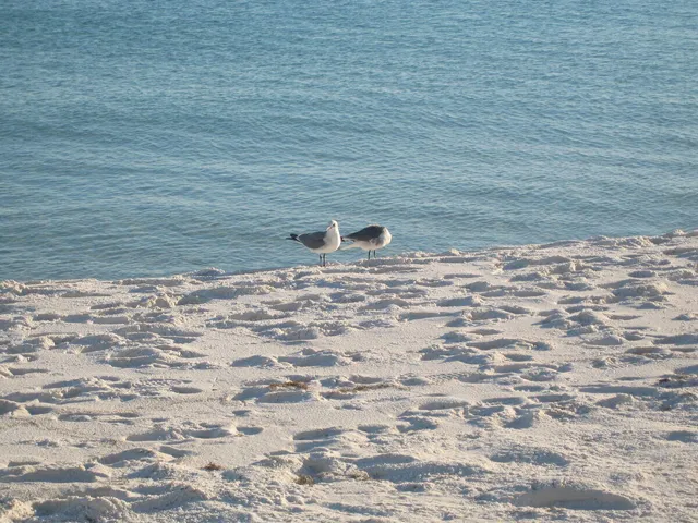 a view of a lake view