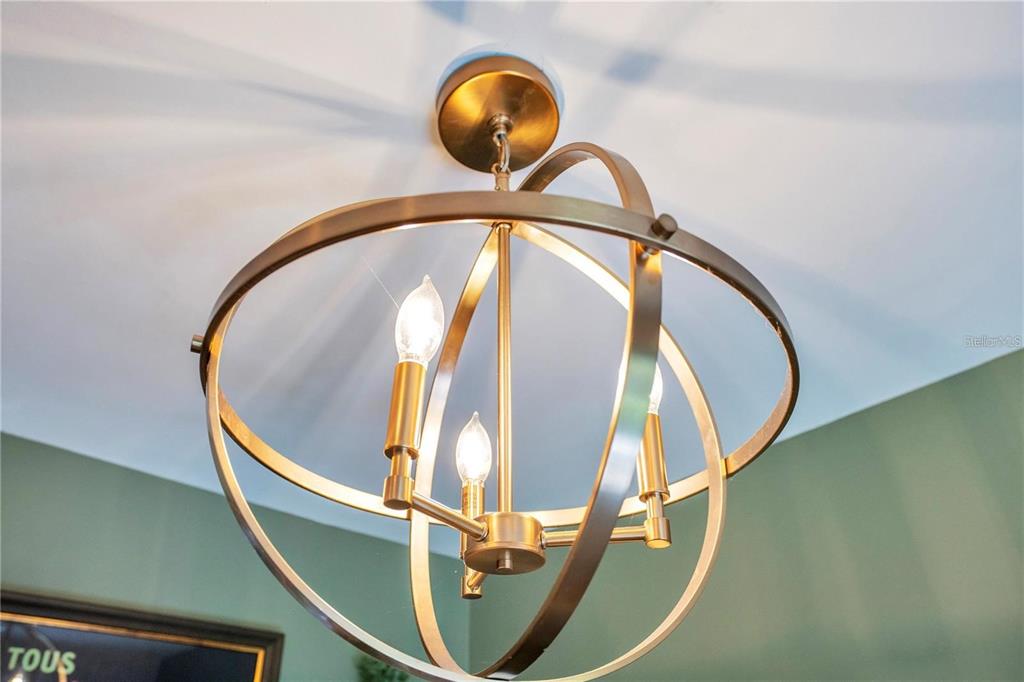 7736 Windbreak Road Orlando, FL 32819 - Photo 42 of 43 a close view of light bulb