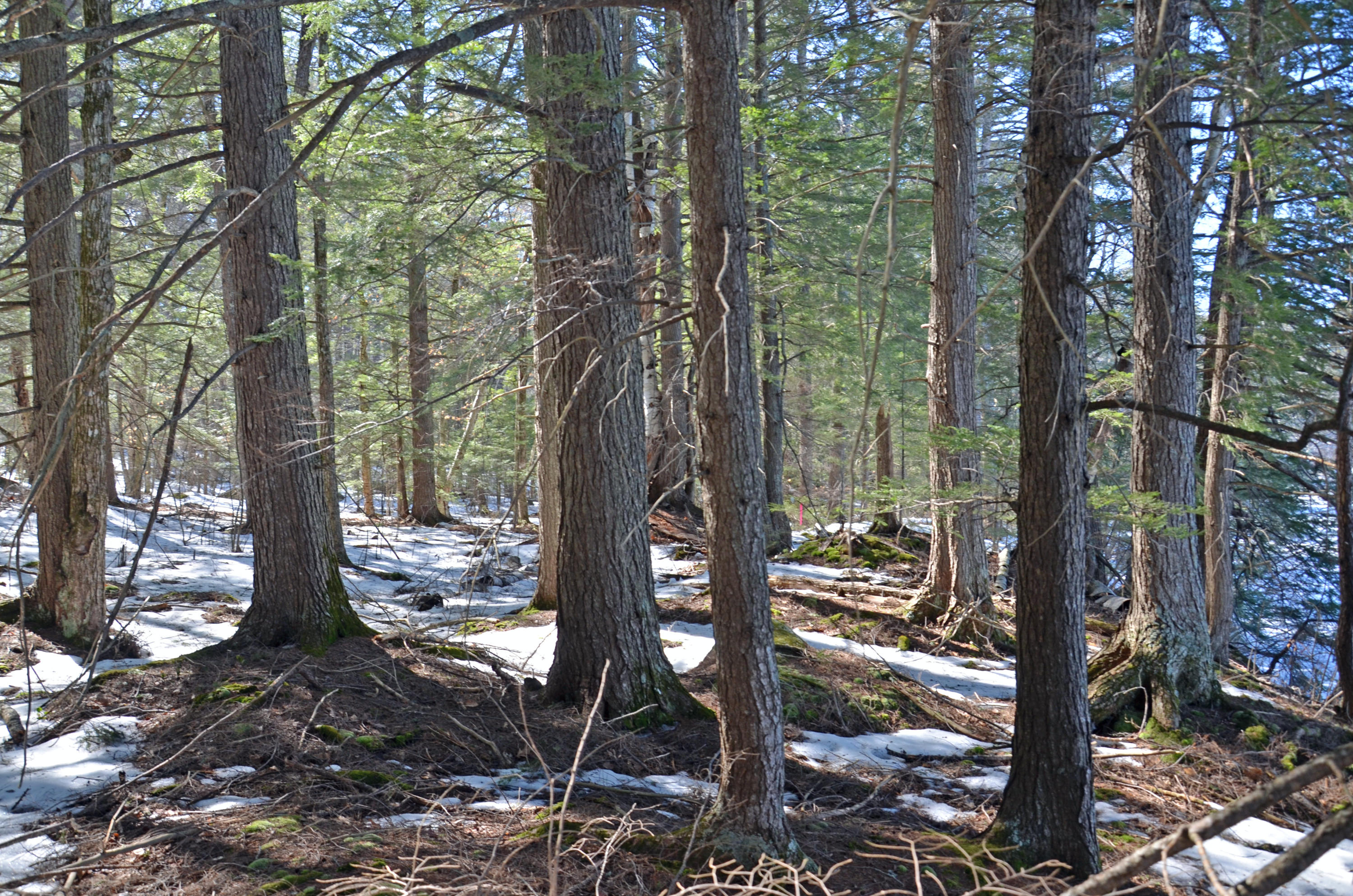 153 Temple Hill Road Harrison, ME 04040 - Photo 31 of 33 DSC_9811_edited-1