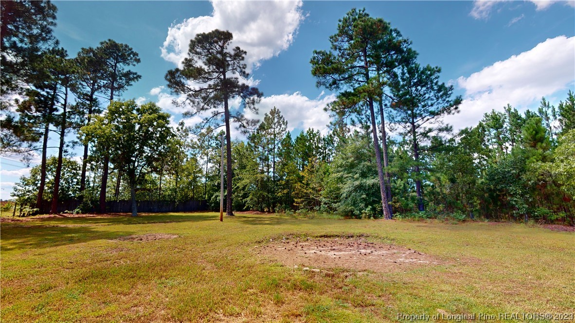 52 Longleaf Circle Cameron, NC 28326 - Photo 26 of 29