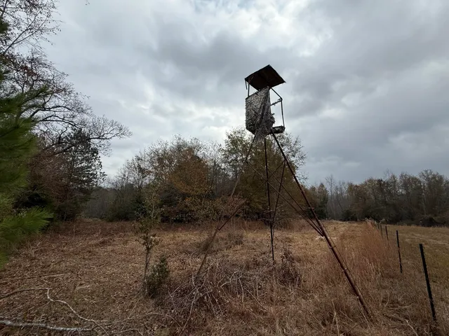 $125,000 | 0 State Rd S-6-169, Williston, SC 29853