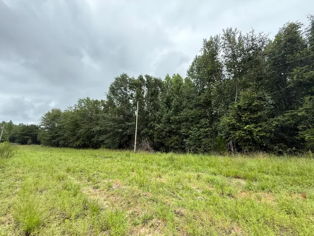 $125,000 | 0 State Rd S-6-169, Williston, SC 29853