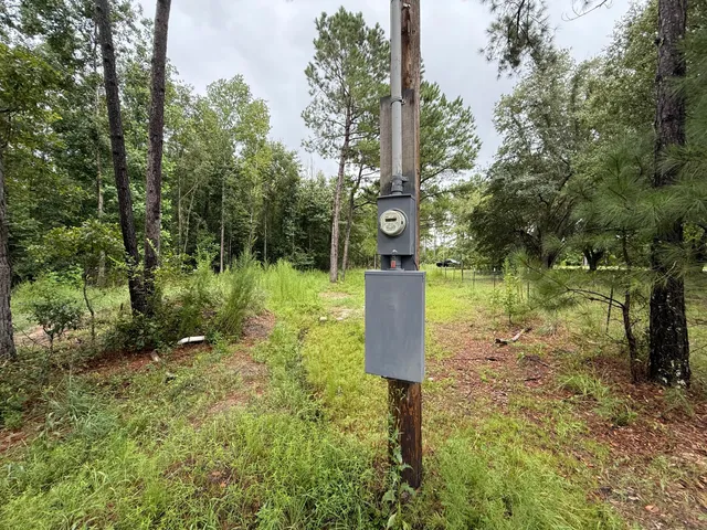 $125,000 | 0 State Rd S-6-169, Williston, SC 29853