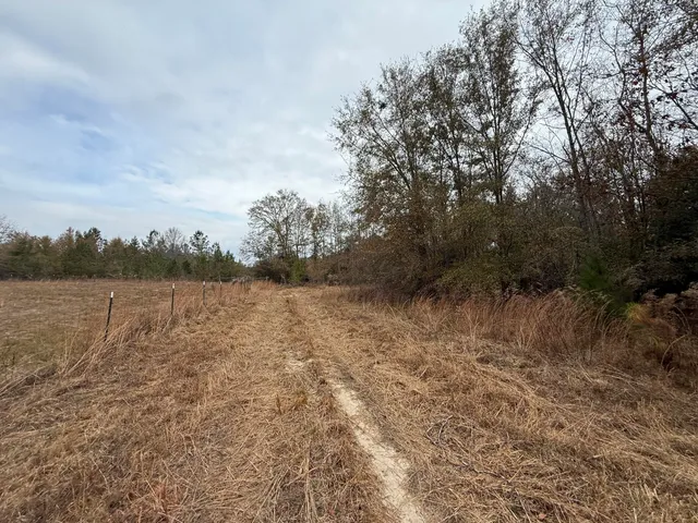 $125,000 | 0 State Rd S-6-169, Williston, SC 29853