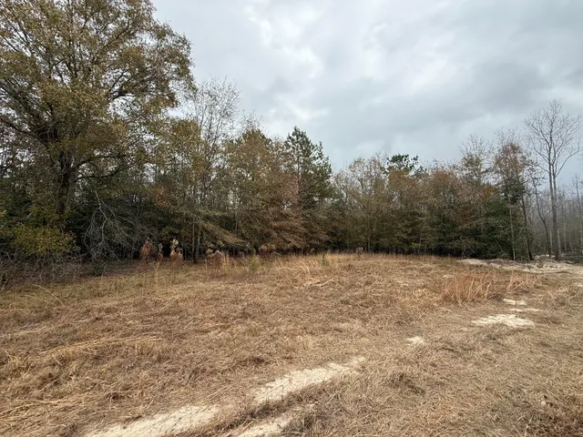 $125,000 | 0 State Rd S-6-169, Williston, SC 29853