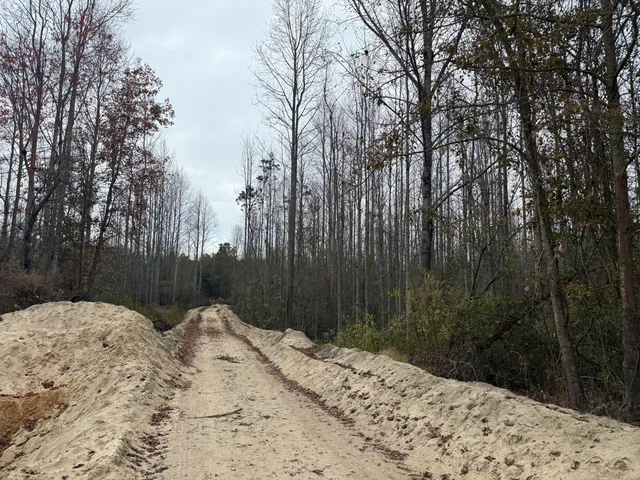 $125,000 | 0 State Rd S-6-169, Williston, SC 29853