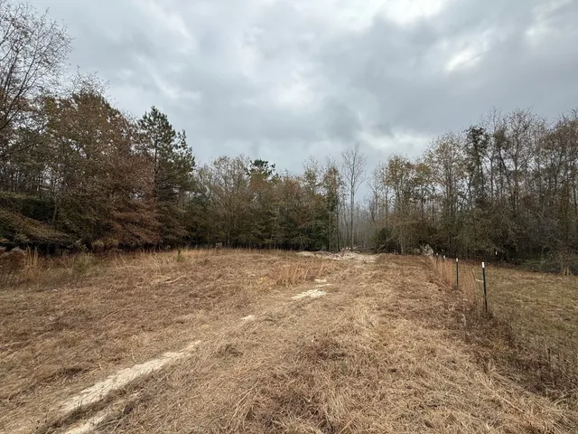 $125,000 | 0 State Rd S-6-169, Williston, SC 29853